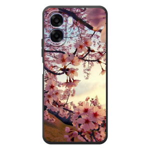 Чохол з картинкою Сакури на OPPO A6x – Квітуча сакура