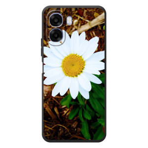 Чохол з ромашками на OPPO A6x – Біла ромашка