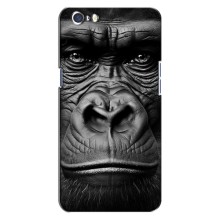 Чехлы с Горилой на Оппо А71 – Черная обезьяна