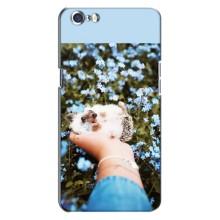 Чохли з зображенням різних тварин на Oppo A71 (Їжачок в руці)