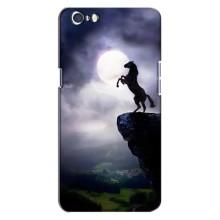 Чохли з зображенням різних тварин на Oppo A71 (Кінь)