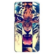 Чохли з зображенням різних тварин на Oppo A71 (Яскравий Тигр)