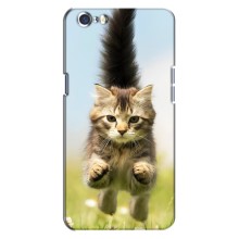 Чехлы с Котиками для Oppo A71 (VPrint) (Прыжок кота)