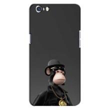 Чохли з Мавпами NFT для Oppo A71 (AlphaPrint) (Мавпа NFT)