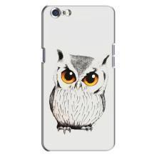 Чохол з пташками на Oppo A71 (VPrint) (Мила Сова)