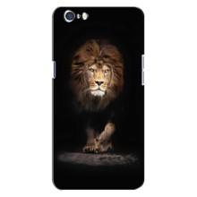 Чохол з картинкою ЛЕВ для Oppo A71 (VPrint) (Лев)