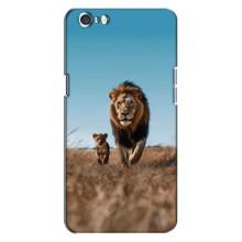 Чехол Король лев на Оппо А71 (Мусафа и Симба)
