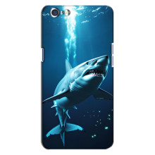 Чехол с картинкой «Хищники» для Oppo A71 – Акула