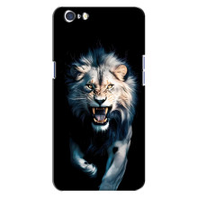 Чехол с картинкой «Хищники» для Oppo A71 – Лев