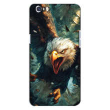 Чехол с картинкой «Хищники» для Oppo A71 – Орёл