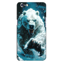 Чехол с картинкой «Хищники» для Oppo A71 – Медведь