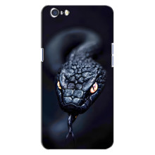 Чехол с картинкой «Хищники» для Oppo A71 – Змея