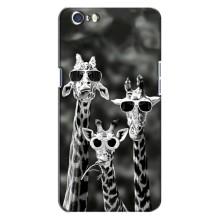 Силиконовый чехол с КАРТИНКАМИ лето для Oppo A71 (AlphaPrint) – Жирафы в очках