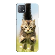 Чехлы с Котиками для Oppo a72 (5G) (VPrint) (Прыжок кота)