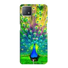 Чехол с птицами на Oppo a72 (5G) (VPrint) (Яркий Павлин)