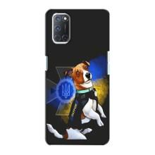 Чехлы с картинкой собаки Патрон для Oppo A72 (AlphaPrint) – Патрон собачка