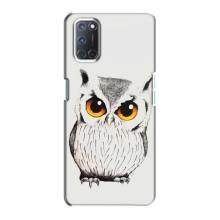 Чохол з пташками на Oppo A72 (VPrint) (Мила Сова)