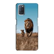 Чохол Король лев на OPPO A72 (Мусафа і Сімба)