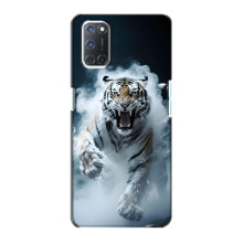 Чохол з картинкою 'Хижаки' для Oppo A72 (Тигр)