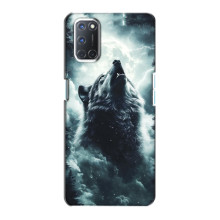 Чохол з картинкою 'Хижаки' для Oppo A72 (Вовк)