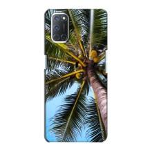 Силиконовый чехол с КАРТИНКАМИ лето для Oppo A72 (AlphaPrint) – Пальма
