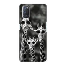 Силиконовый чехол с КАРТИНКАМИ лето для Oppo A72 (AlphaPrint) – Жирафы в очках