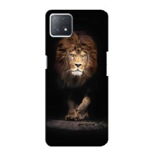 Чехол со Львом для Oppo a73 (5G) (VPrint) (Лев)
