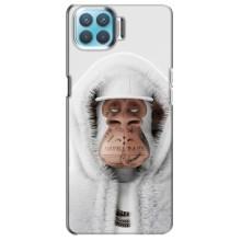 Чохли з Мавпами NFT для Oppo A73 (AlphaPrint) (мавпа NFT в тату)