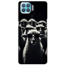 Чохол з принтом стильні тварини для OPPO Á73 (Овечка в окулярах)