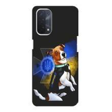 Чехлы с картинкой собаки Патрон для Oppo a74 (5G) (AlphaPrint) – Патрон собачка
