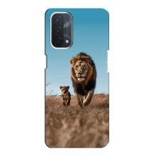 Чехол Король лев на Оппо А74 (5G) (Мусафа и Симба)