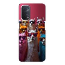 Чохол з принтом стильні тварини для OPPO a74 (5G) – Лами в окулярах