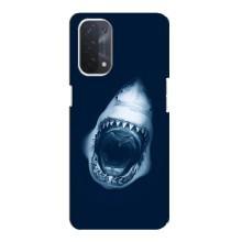 Силиконовый бампер с картинкой животных для Oppo a74 (5G) (Пасть Акулы)