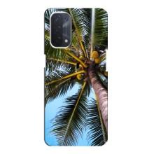 Силіконовий чохол з КАРТИНКАМИ літо для Oppo a74 (5G) (AlphaPrint) (Пальма)
