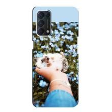 Чехлы с изображением разных животных для OPPO A74 (Ежик на руках)