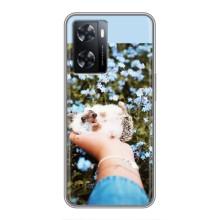 Чохли з зображенням різних тварин на Oppo A77 (Їжачок в руці)