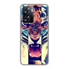 Чохли з зображенням різних тварин на Oppo A77 (Яскравий Тигр)