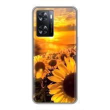 Чехол с Цветами для Oppo A77 (поле подсолнухов)