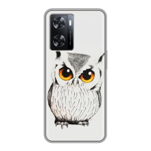 Чехол с птицами на Oppo A77 (VPrint) (Милая Сова)