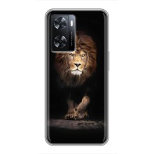 Чехол со Львом для Oppo A77 (VPrint) (Лев)