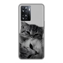 Чехол с рисунком кот на Oppo A77 (Пара котов)