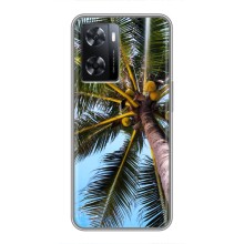 Силиконовый чехол с КАРТИНКАМИ лето для Oppo A77 (AlphaPrint) (Пальма)