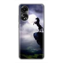 Чохли з зображенням різних тварин на OPPO A78 (4G) (Кінь)