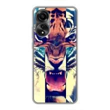 Чохли з зображенням різних тварин на OPPO A78 (4G) (Яскравий Тигр)