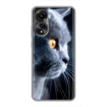 Чехлы с Котиками для OPPO A78 (4G) (VPrint) (Серый Кот)