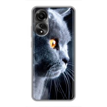 Чехол с милыми котиками на Оппо А78
