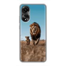 Чехол Король лев на Оппо А78 – Мусафа и Симба