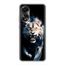 Чохол з картинкою 'Хижаки' для OPPO A78 (4G) (Лев)