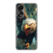 Чохол з картинкою 'Хижаки' для OPPO A78 (4G) (Орел)