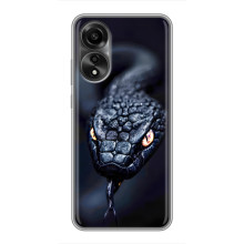 Чохол з картинкою 'Хижаки' для OPPO A78 (4G) (Змія)